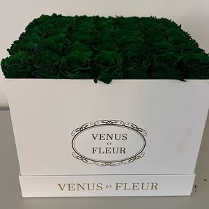 Venus et fleur
